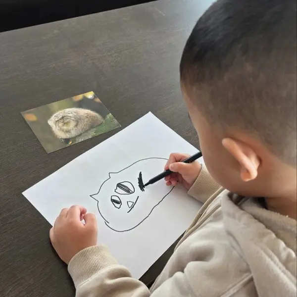 マヌルネコの写真