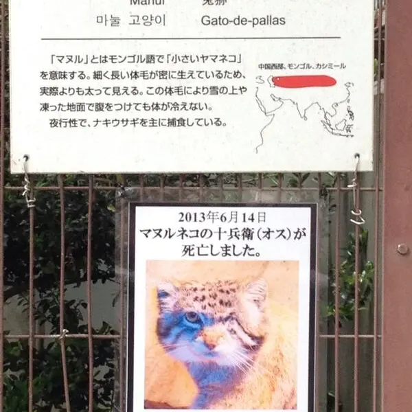 東山動植物園の十兵衞の写真
