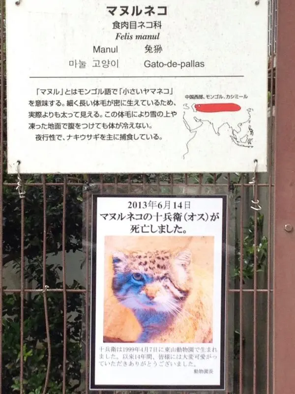 東山動植物園の十兵衞の写真