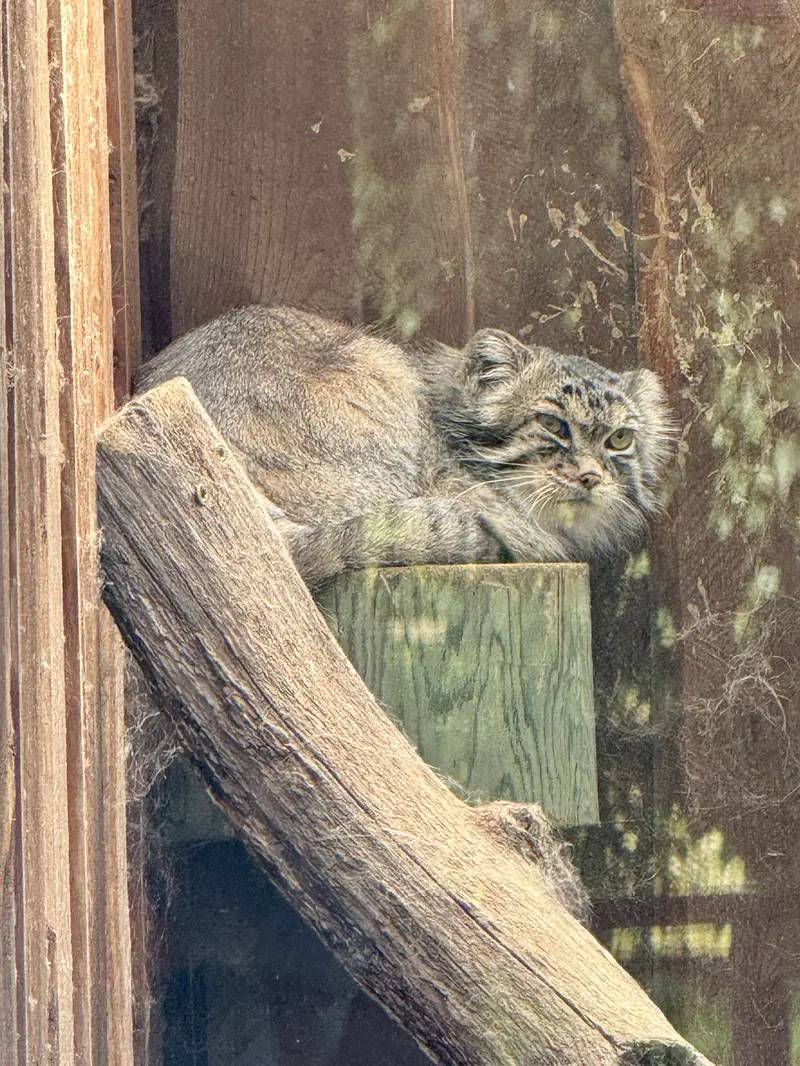 タリン動物園のマーズの写真