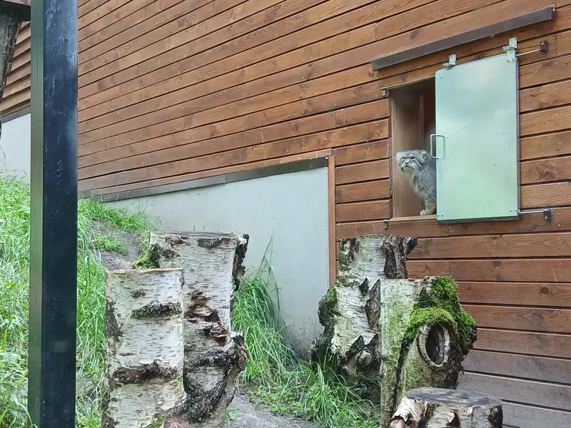 グダニスク動物園のマヌエルの写真