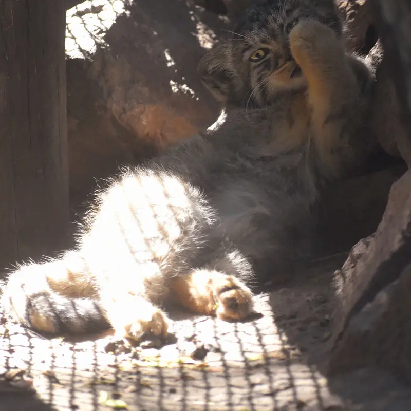 ブダペスト動物園＆植物園のボブの写真