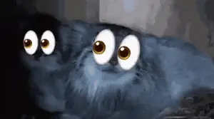 マヌルネコの写真