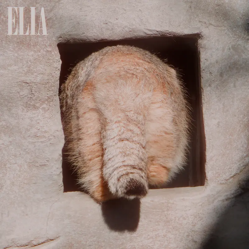 カルガリー動物園 / ワイルダー研究所のオラフの写真