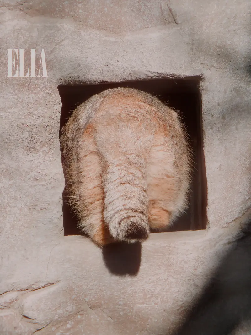 カルガリー動物園 / ワイルダー研究所のオラフの写真