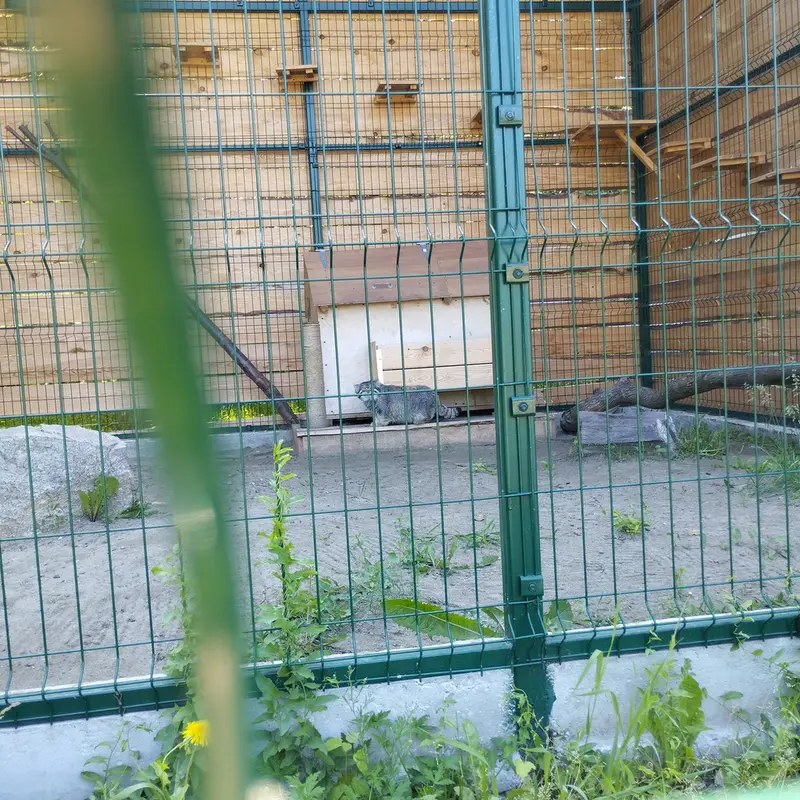 バルナウル動物園「レースナヤ・スカースカ」のチップの写真