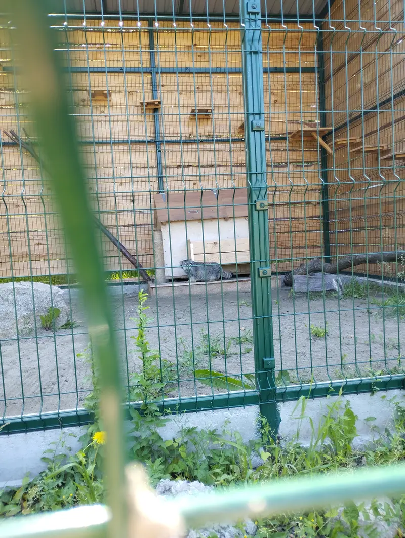 バルナウル動物園「レースナヤ・スカースカ」のチップの写真