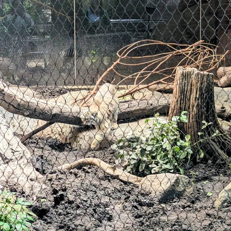 プロスペクト・パーク動物園のサルナイの写真