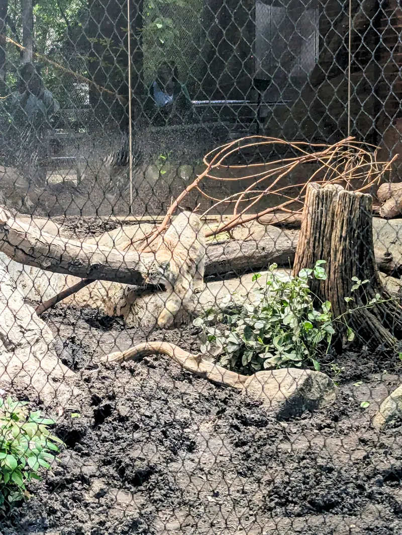プロスペクト・パーク動物園のサルナイの写真