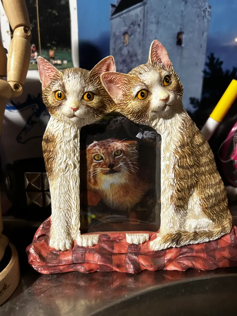 ナノーの写真