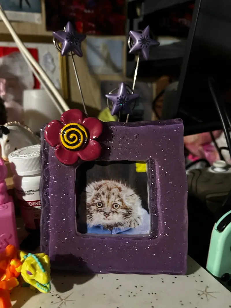 プリンセッサの写真