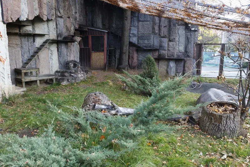 モスクワ動物園のティモフェイの写真