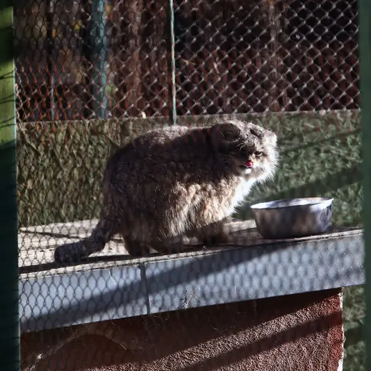 ウッチ動物園のパッツォの写真
