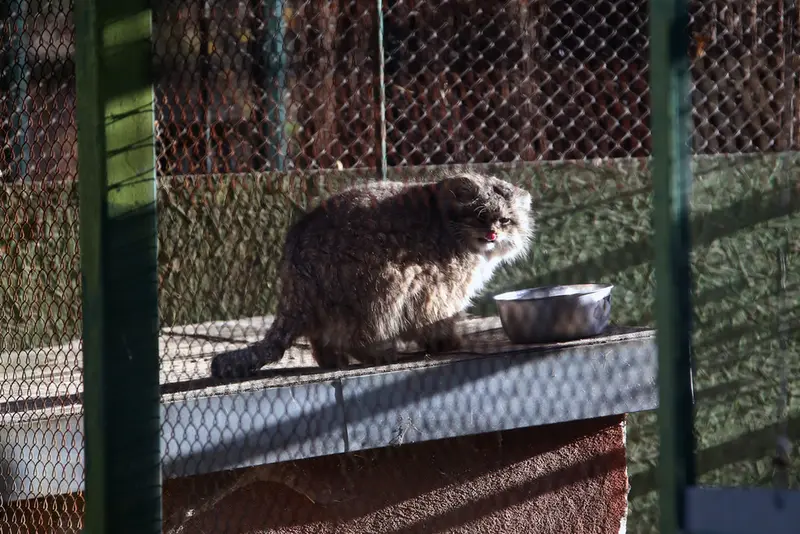 ウッチ動物園のパッツォの写真