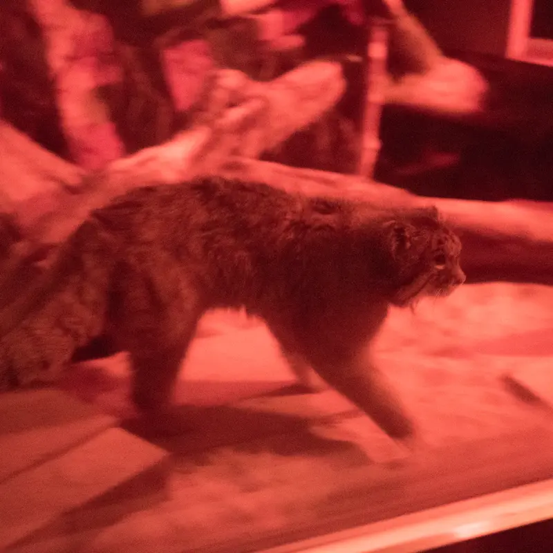 恩賜上野動物園のナイマの写真