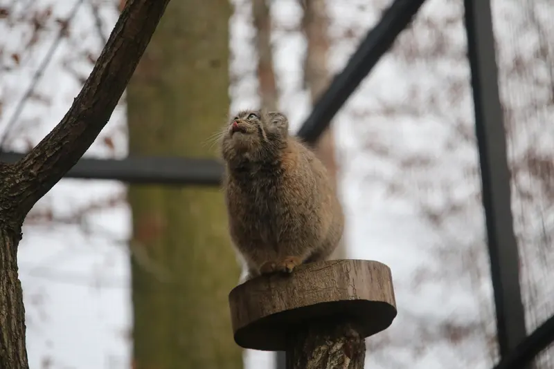 グダニスク動物園のウラの写真