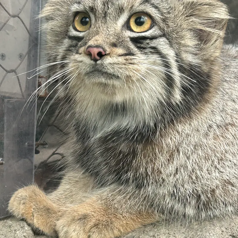 神戸どうぶつ王国のオトの写真