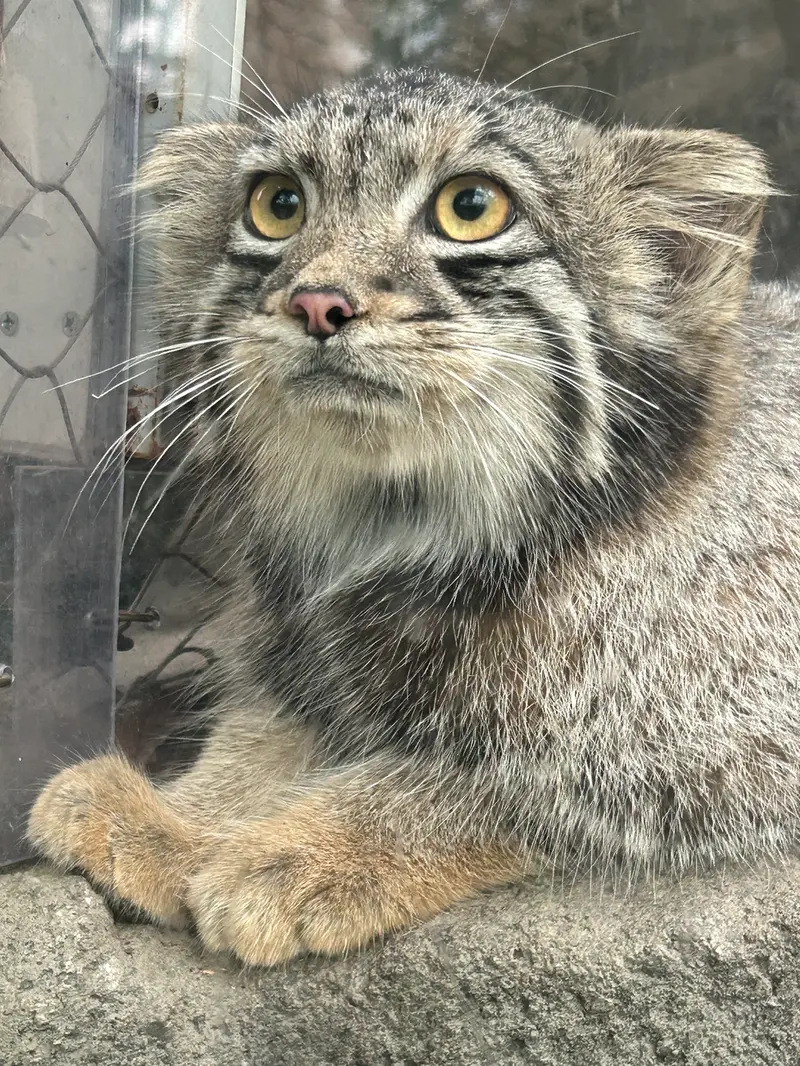 神戸どうぶつ王国のオトの写真