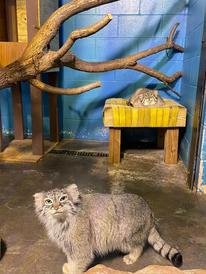 ニアビ動物園のイーヴィーとハルトの写真