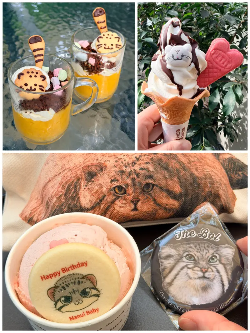 マヌルネコの写真