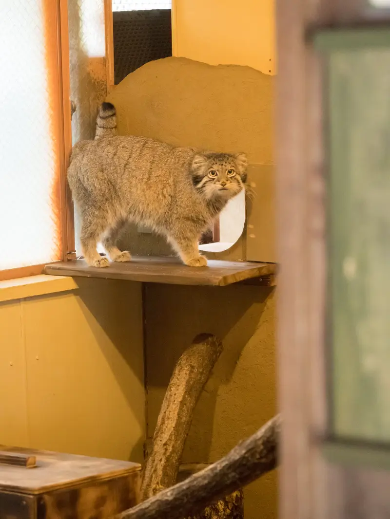 埼玉県こども動物自然公園のオトの写真