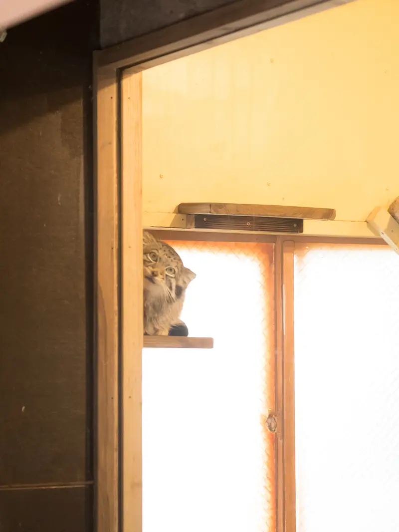 埼玉県こども動物自然公園のオトの写真