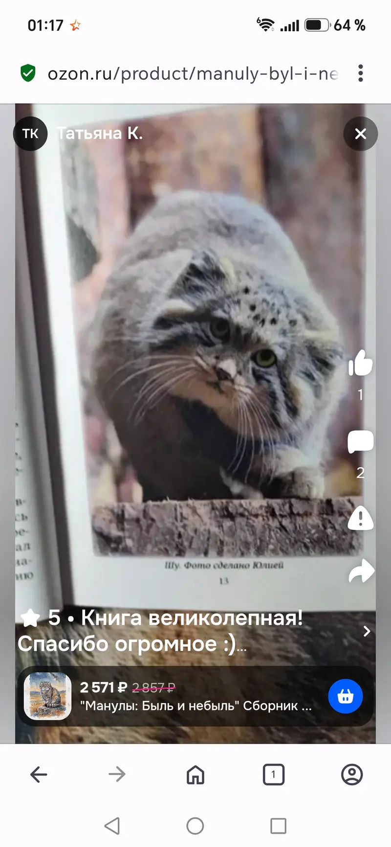 マヌルネコの写真