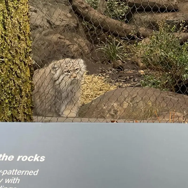 プロスペクト・パーク動物園のバトゥの写真