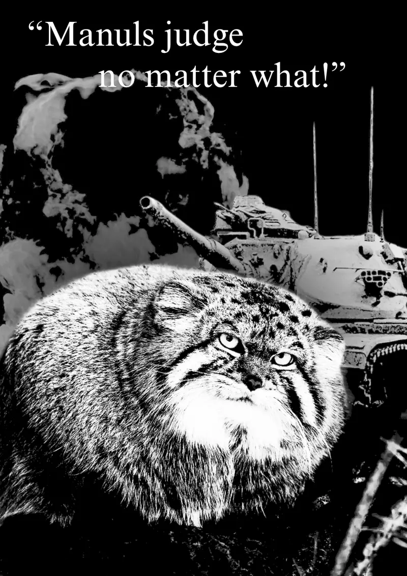 マヌルネコの写真