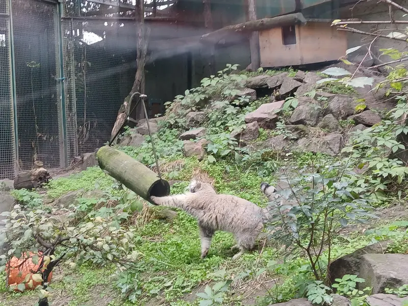 ブダペスト動物園＆植物園のボフスの写真