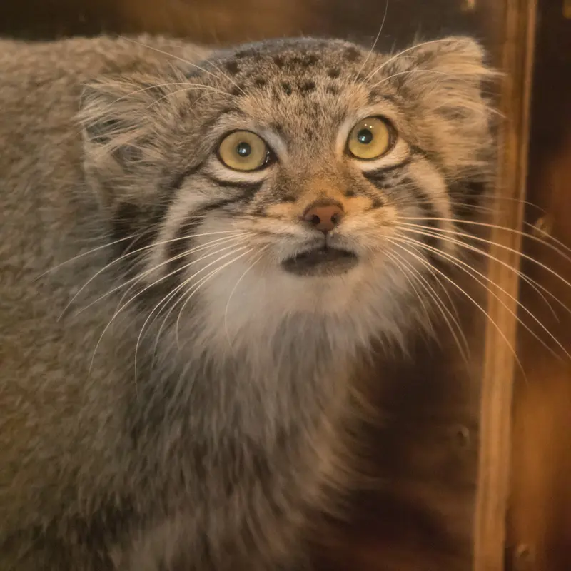 埼玉県こども動物自然公園のオトの写真