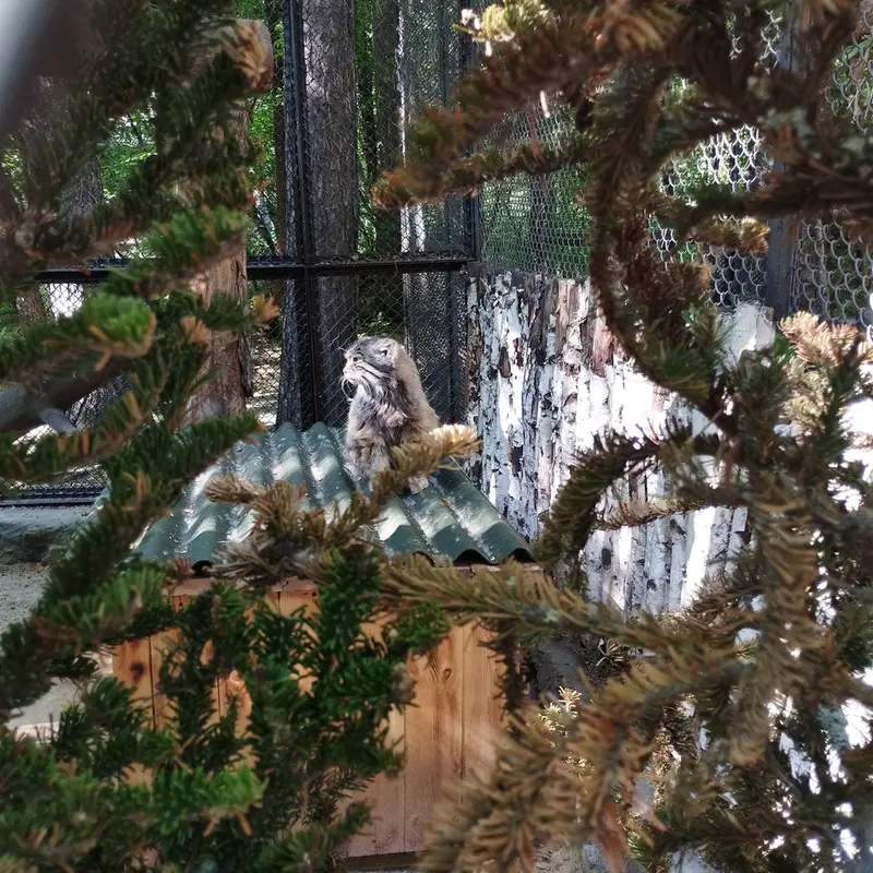 ノヴォシビルスク動物園のゼレノゴルスクの写真