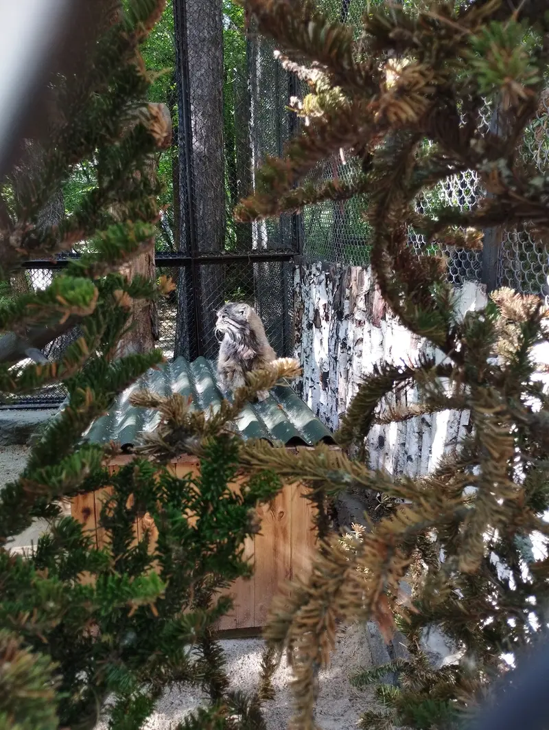 ノヴォシビルスク動物園のゼレノゴルスクの写真