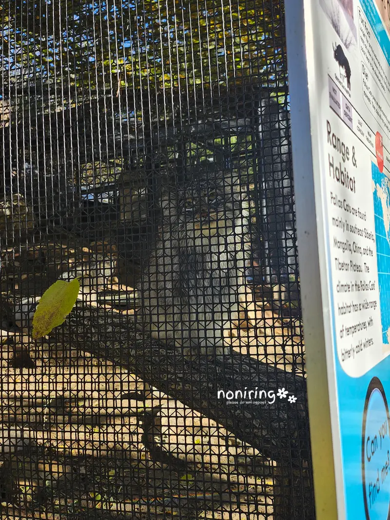 プエブロ動物園のオリーブの写真