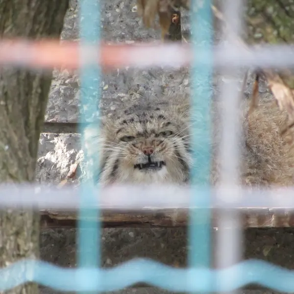 マクデブルク動物園のジョナサンの写真