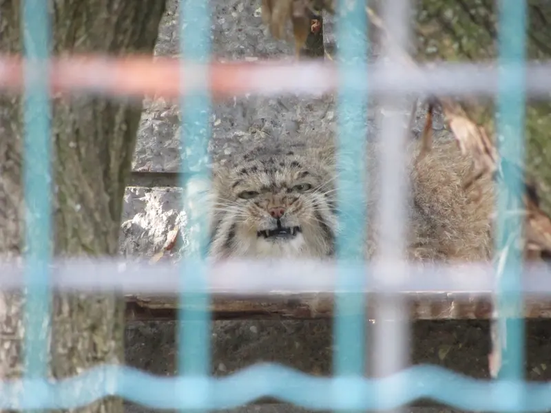 マクデブルク動物園のジョナサンの写真