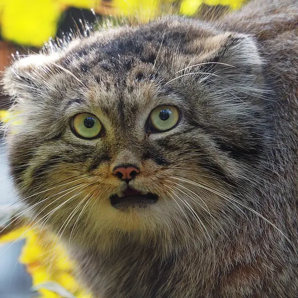 グダニスク動物園のウラの写真