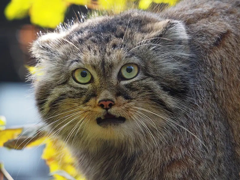 グダニスク動物園のウラの写真