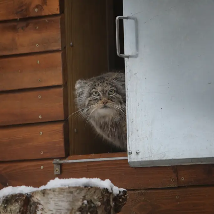 グダニスク動物園のウラの写真