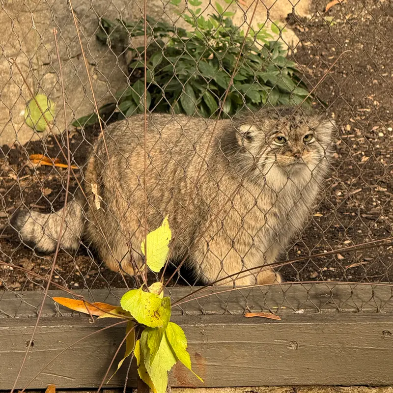 プロスペクト・パーク動物園のサルナイの写真