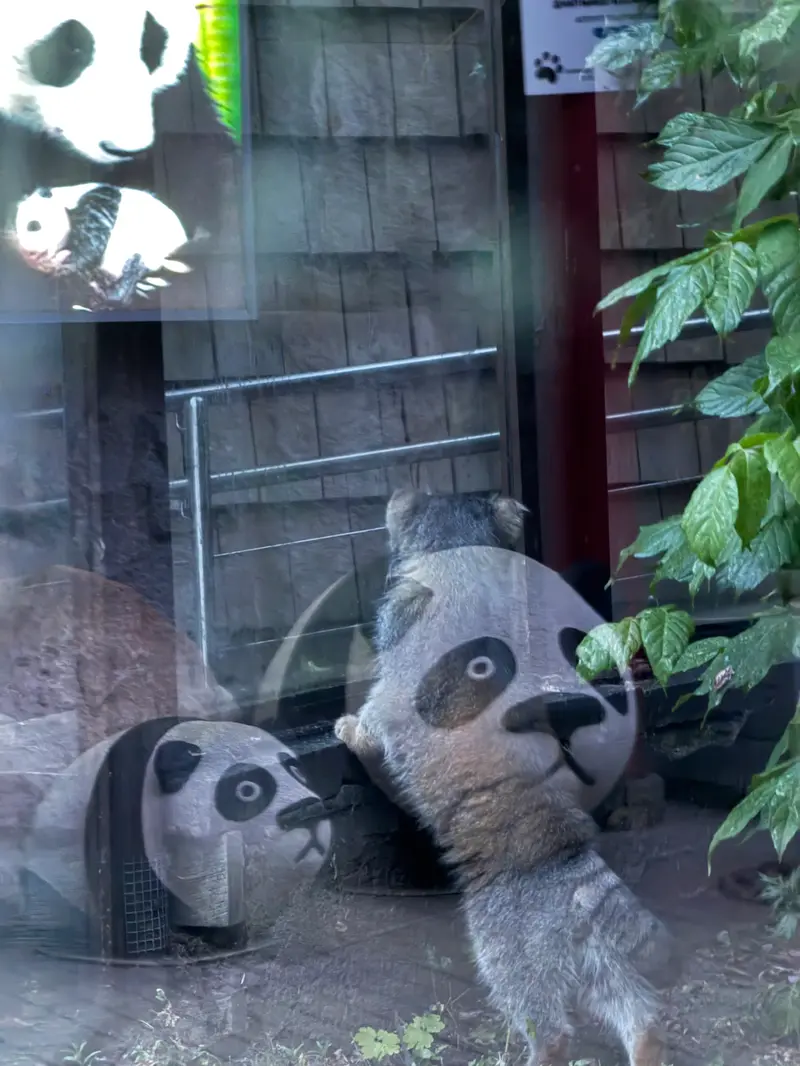モスクワ動物園のティモフェイの写真