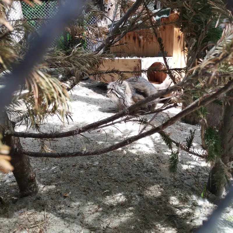 ノヴォシビルスク動物園のゼレノゴルスクの写真
