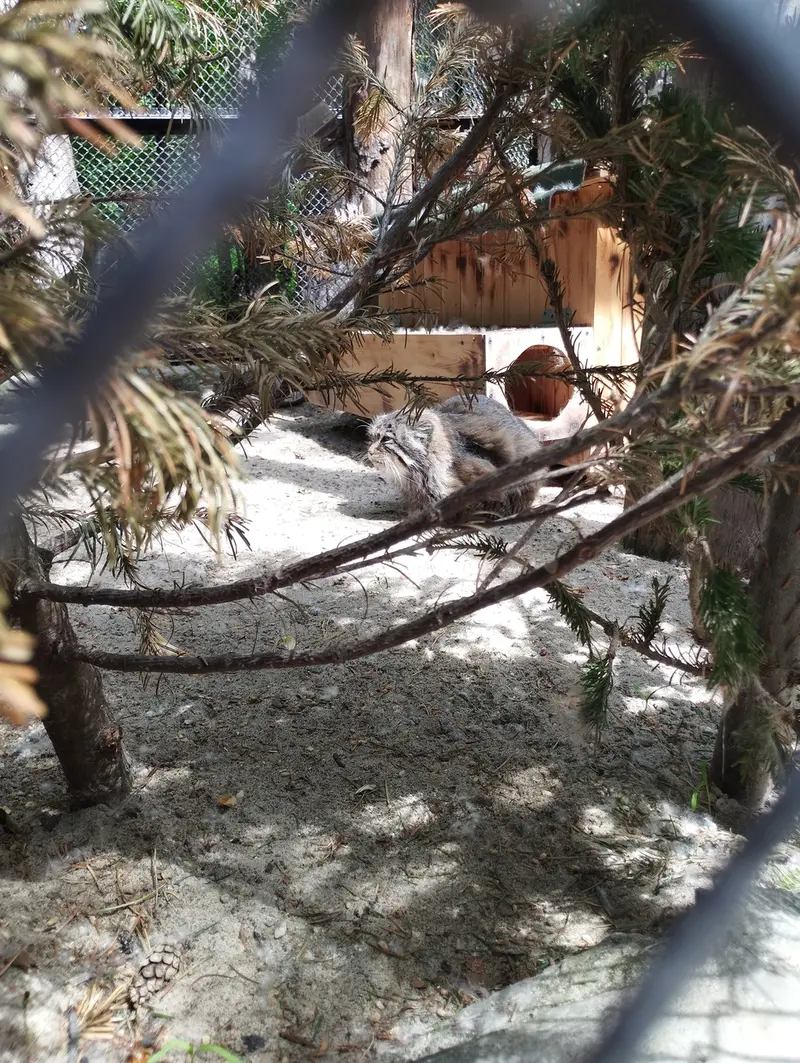 ノヴォシビルスク動物園のゼレノゴルスクの写真