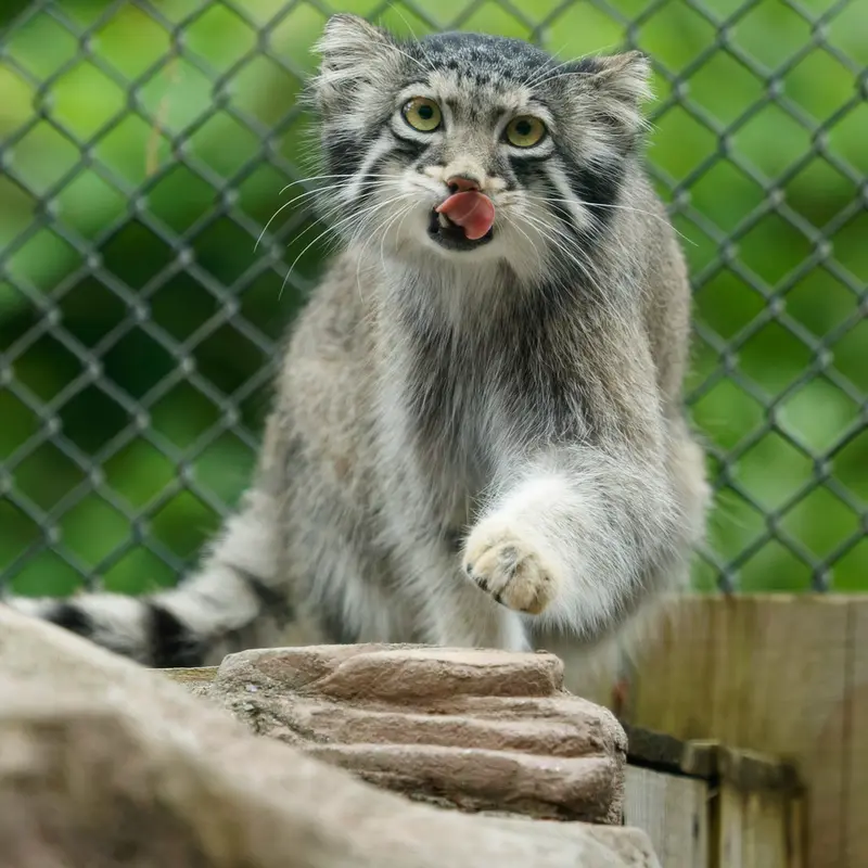 埼玉県こども動物自然公園のオトの写真