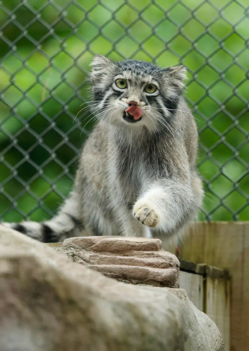 埼玉県こども動物自然公園のオトの写真