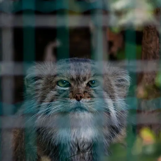 マクデブルク動物園のジョナサンの写真