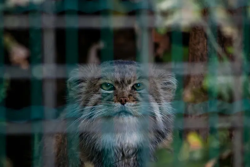 マクデブルク動物園のジョナサンの写真