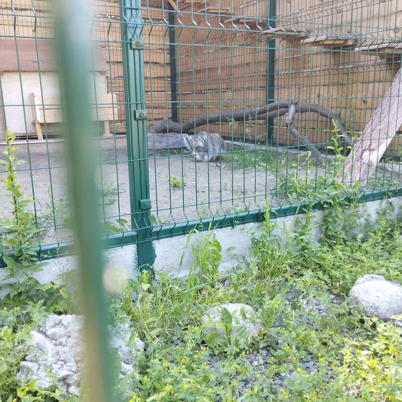 バルナウル動物園「レースナヤ・スカースカ」のチップの写真