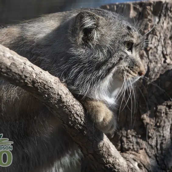 リー・リチャードソン動物園のキルの写真