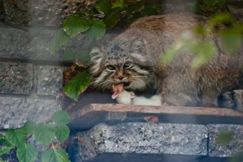 マクデブルク動物園のジョナサンの写真